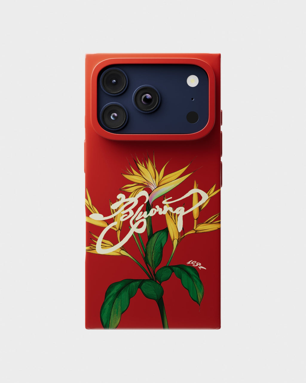 Red Birds Of Paradise Case