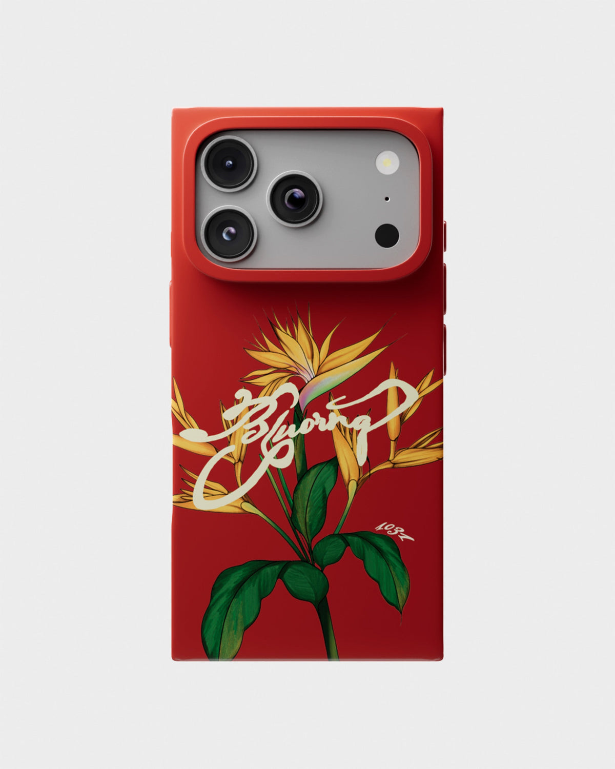 Red Birds Of Paradise Case
