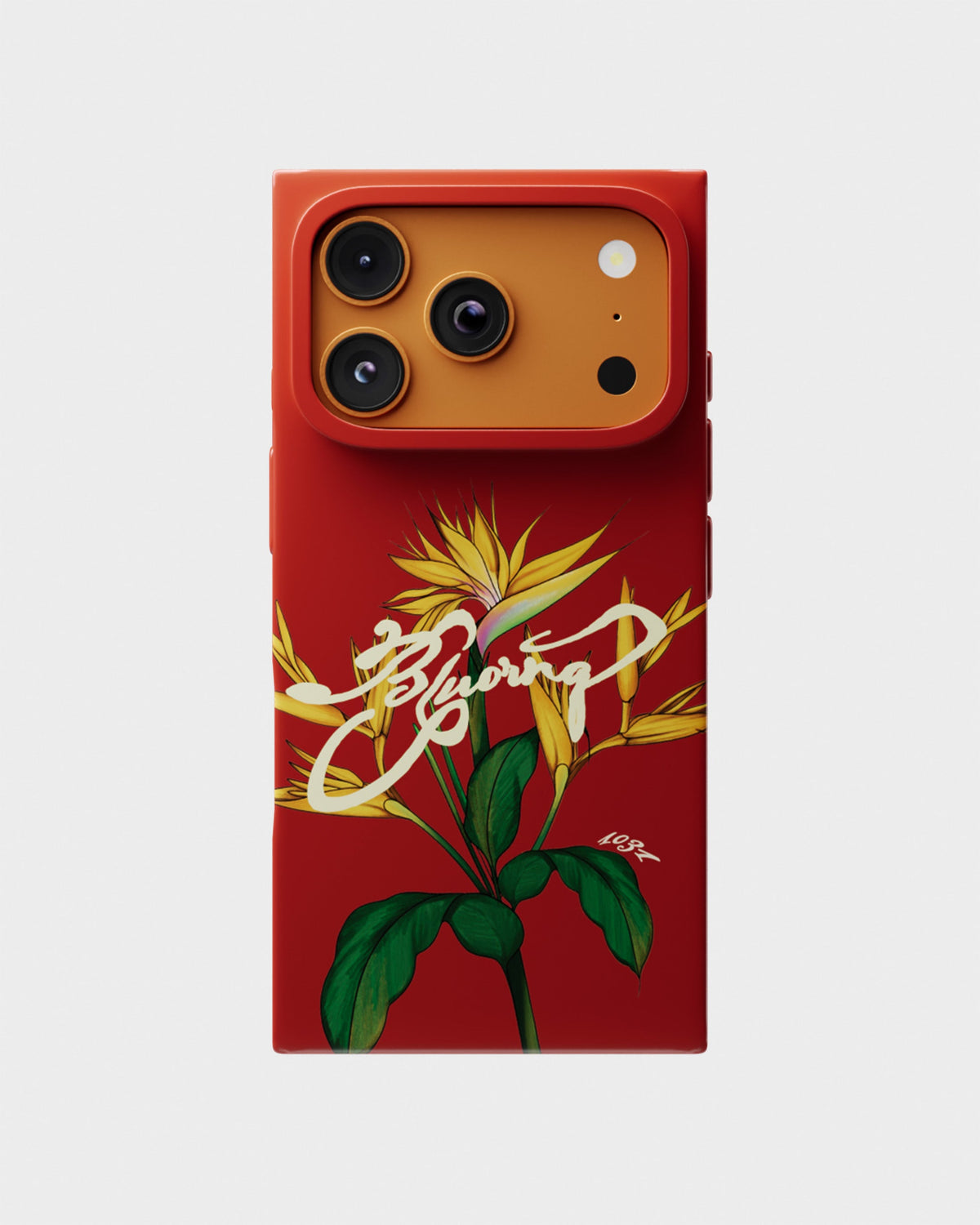 Red Birds Of Paradise Case